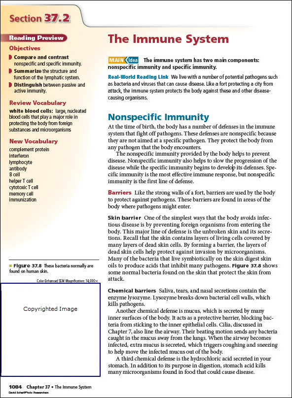 Page from biology book with a number of distinct colored headings, as well as three different types of paragraph headings