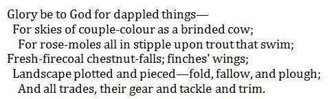 example of stanza
