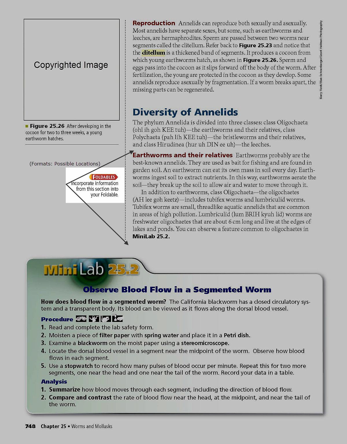 Student instruction related to the paragraph