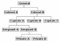 Sample organization chart