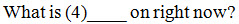 Write-on-line within a question; 4 in parentheses immediately precedes the write-on-line