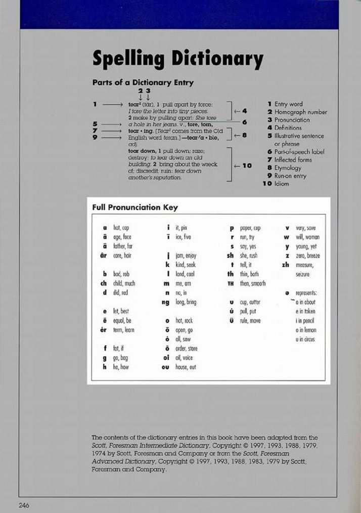 Intermediate English Homophones – different words that sound the same!