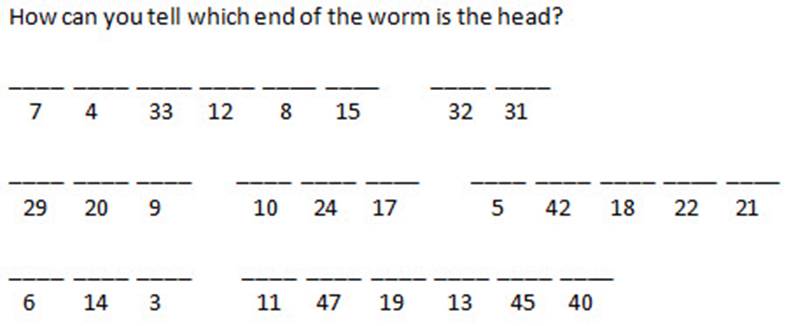 Number coded puzzle with blank lines indicating a letter, and numbers under each blank line; groups of blank lines indicate words