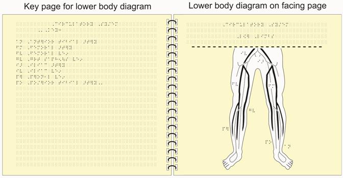 Image: Circulatory system tactile graphic with simbraille part 2