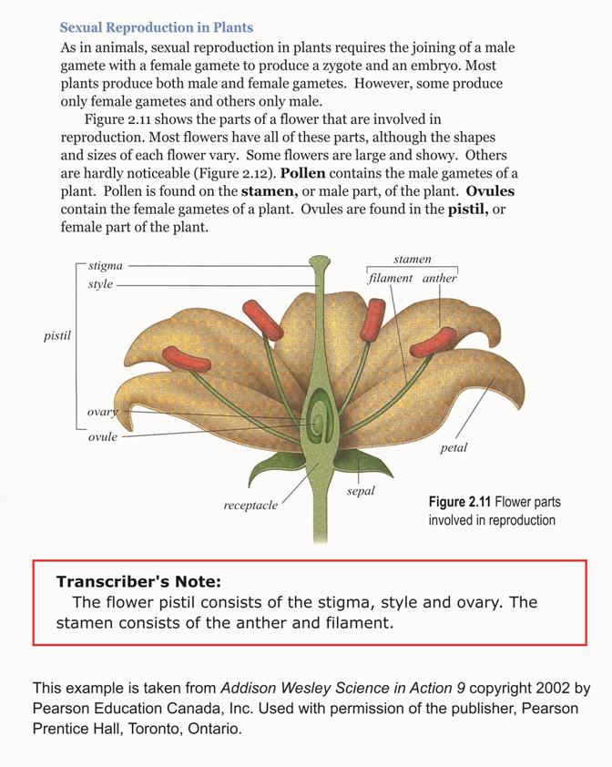 Image: Parts of a flower