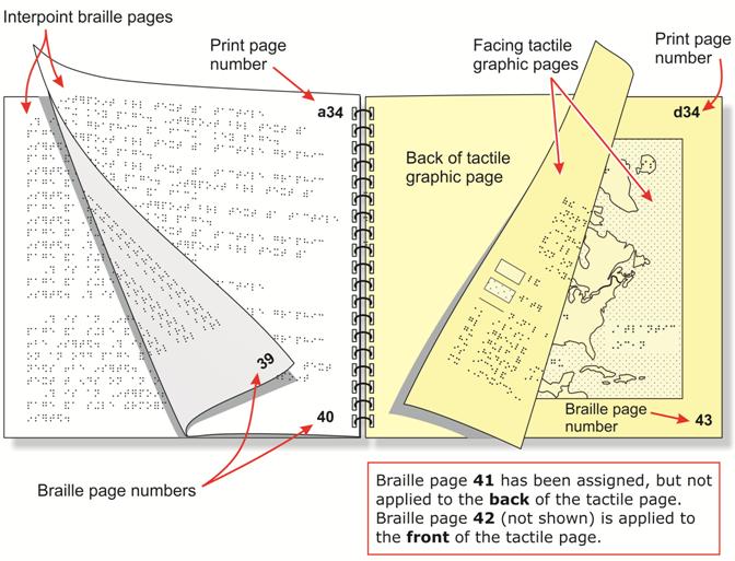 Image: Interpoint braille pages
