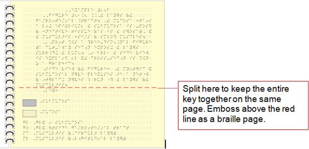 Image: Gastrointestinal Tract simbraille and tactile graphic part 1